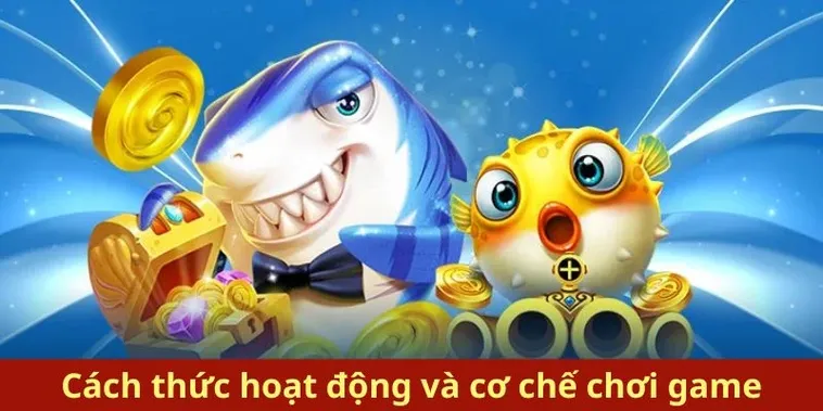 Bí Kíp Săn Cá Royal Fishing Tại VNZ6 Thắng Lớn Mỗi Ngày Cho Game Thủ