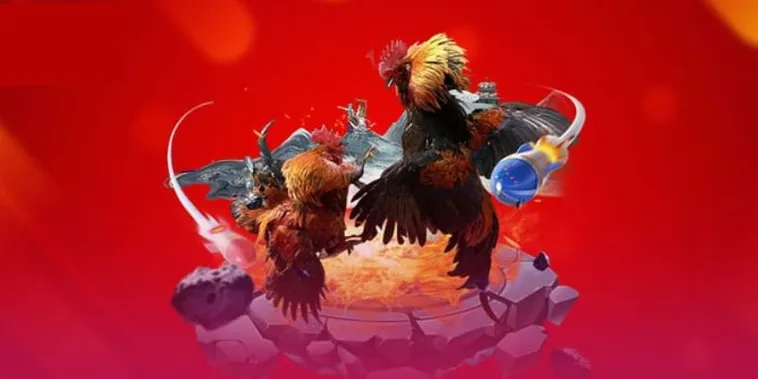 Sôi Động Đấu Trường Đá Gà VNZ6 Kịch Tính Thưởng Cược Cực Cao