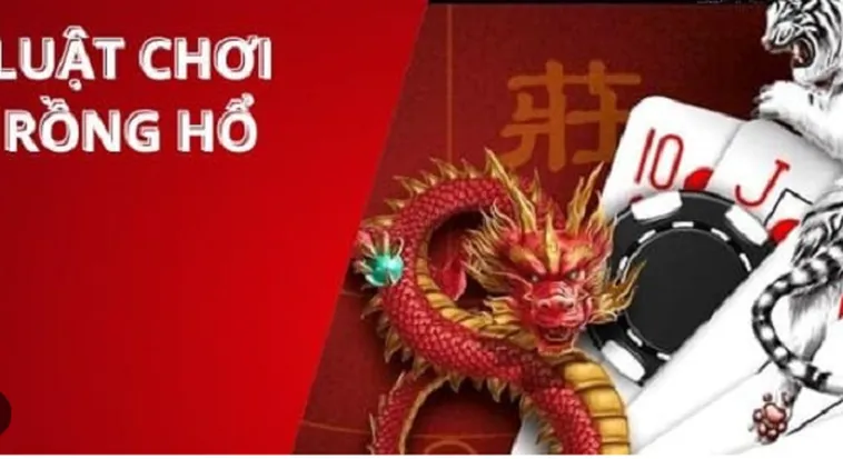 Trải Nghiệm Trò Chơi Dragon Tiger Tại VNZ6 Siêu Tốc Kiếm Tiền Tỷ Mỗi Ngày Cực Đã